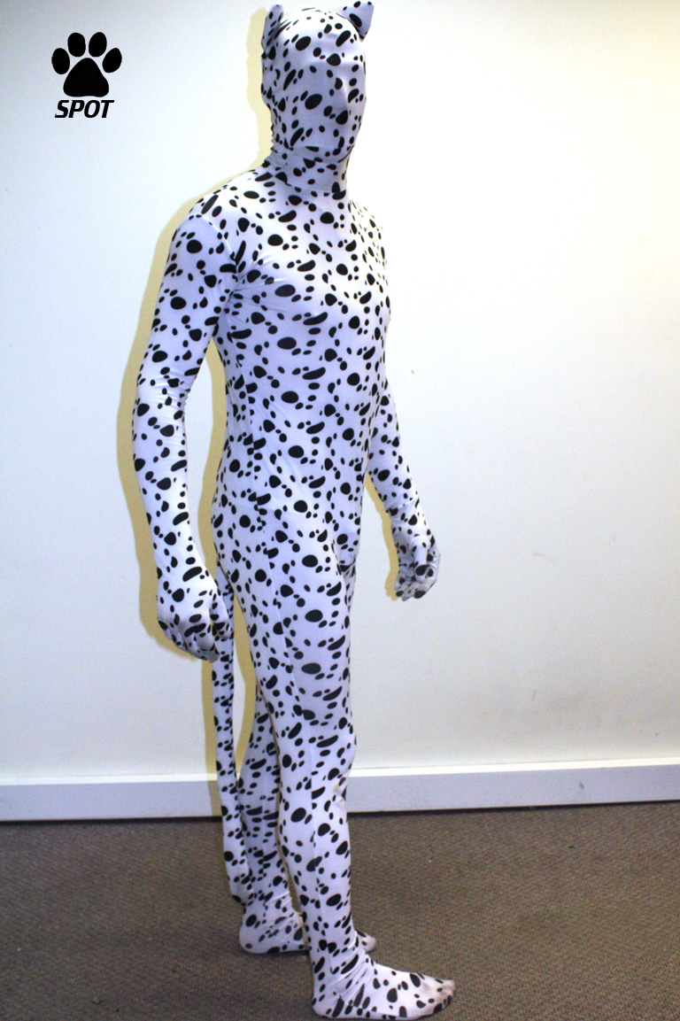 Dalmatian Tail