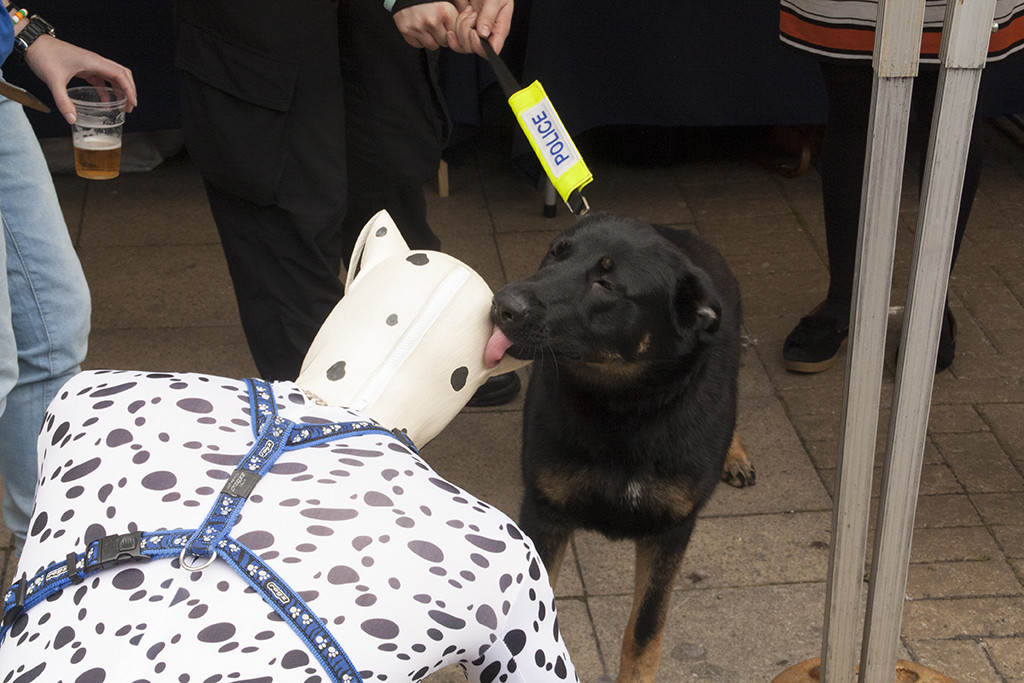 Meeting a Police Puppy