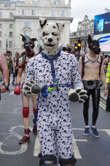 1435447590-thousands-watch-london-gay-pride-parade_7963156