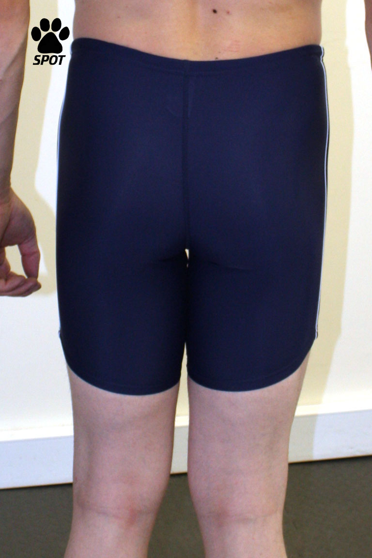 Download Blue TYR swim shorts - Back - ZentaiSpot